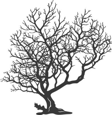 silhouette corals are marine invertebrate animal black color only