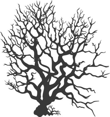 silhouette corals are marine invertebrate animal black color only