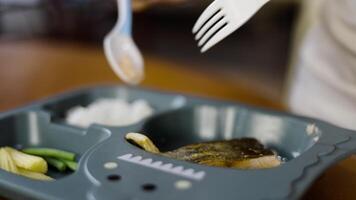 Mother Feeding Son With Steam Rice And Fried Salmon. Parenting and motherhood. video