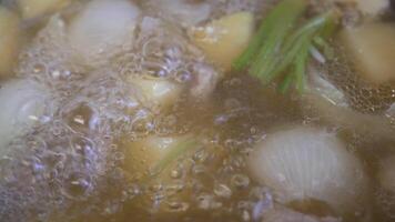 extremo fechar acima do ebulição vegetal sopa dentro cozinha video