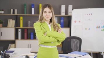 retrato de emprendedor mujer de negocios. video