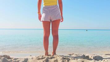 Back view beautiful young woman stand on Nissi beach in Cyprus enjoy sea view on holiday vacation in summer outdoors. Blue sky and white sand beach with clear mediterranean waters video