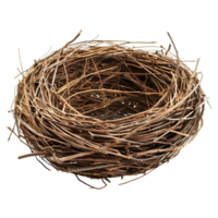 Birds Nest on Transparent Background png