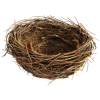 Birds Nest on Transparent Background png