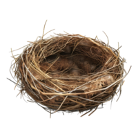 Birds Nest on Transparent Background png