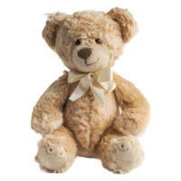 Teddy Bär Spielzeug auf transparent Hintergrund png