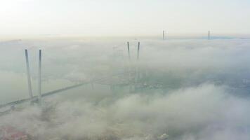 Golden bridge and Russian bridge at dawn mist in Vladivostok city. Drone view video