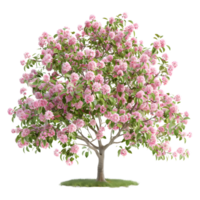 Pomme arbre sur transparent Contexte png