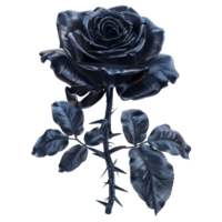 Black Rose Flower on Transparent Background png