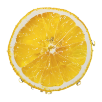 Lemon Slice on Transparent Background png