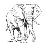 Elephant walking sketch hand drawn vector