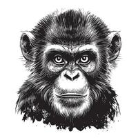 orgulloso mono cara mano dibujado bosquejo salvaje animales ilustración vector
