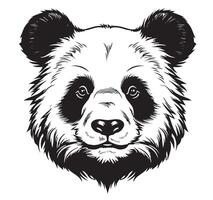 Black and white sketch of a Giant Pandas face vector