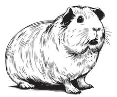 Cute Guinea pig animal sketch illustration vector
