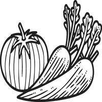 Organic various vegetable coloring pages. Vegetable outline for coloring book vector