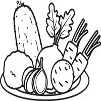 Organic various vegetable coloring pages. Vegetable outline for coloring book vector