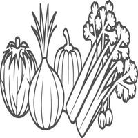 Organic various vegetable coloring pages. Vegetable outline for coloring book vector