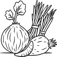 Organic various vegetable coloring pages. Vegetable outline for coloring book vector