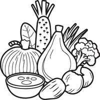 Organic various vegetable coloring pages. Vegetable outline for coloring book vector