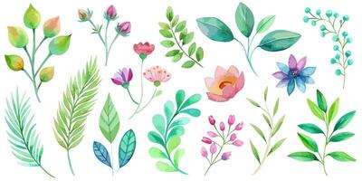 Wild flowers collection. herbs, herbaceous flowering plants, blooming flowers vector