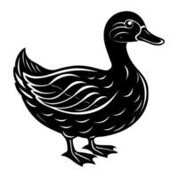 Duck. Pets. Farm. Domestic Animals. Doodle style. vector