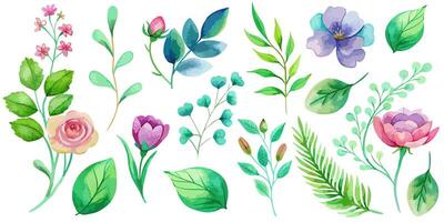 Wild flowers collection. herbs, herbaceous flowering plants, blooming flowers vector