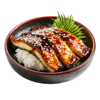 spécial anguille grillé avec riz bol ou unagi Don png