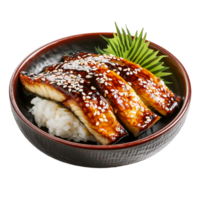 Besondere Aal gegrillt mit Reis Schüssel oder unagi Don png