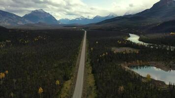 Aerial view of the Icedield Park way in autumn. video