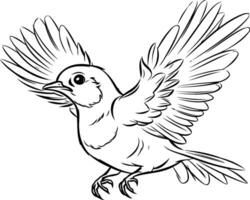 image of a flying bird on a white background. Hand drawing. vector