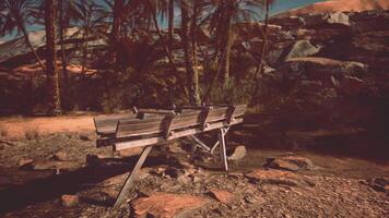 An old wooden Dredge in desert oasis video