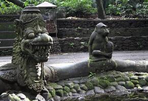 monkey temple in ubud, bali photo