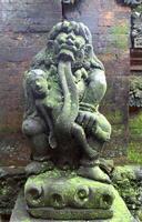 monkey temple in ubud, bali photo