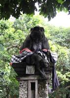 balinese hindi temple, ubud photo