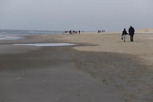 people walking, beach in the winter, netherlands photo