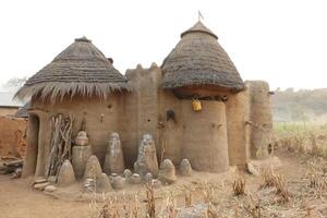 gods in front of a tata somba house photo