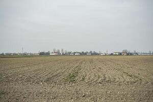 Field ready for sowing the crop photo