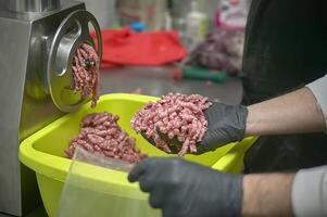 Production department of minced meat photo