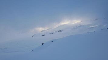 ein Herde von Vögel hochfliegend durch ein elektrisch Blau Himmel über ein schneebedeckt Berg video