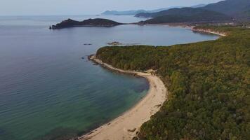 Naturel paysage avec plage, des arbres, et corps de l'eau video