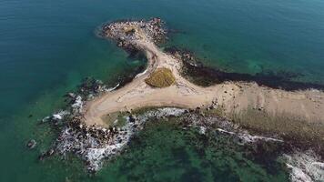 Aerial view of a small island in the ocean with lush green vegetation video