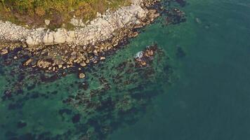 Aerial view of rocky shoreline by water with trees and grass video