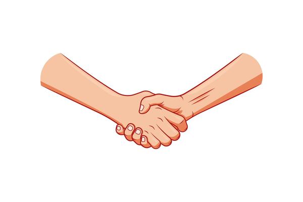 Handshake isolated on white background.