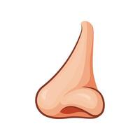 Human nose side view isolated on white background. vector