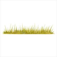 Green grass. Long strip of lawn. Park, garden, forest or field vegetation backdrop. Watercolor illustration isolated on white background. Hand drawn botanical design element for natural compositions. vector