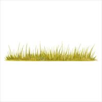 Green grass. Long strip of lawn. Park, garden, forest or field vegetation backdrop. Watercolor illustration isolated on white background. Hand drawn botanical design element for natural compositions. vector