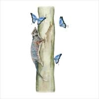 Ringtail possum climbing on a tree trunk surrounded by blue butterflies. Australian native animal composition. Hand draw watercolor illustration isolated on white background. For cute natural prints vector