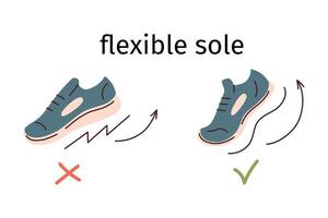 Barefoot shoes advantages, flexible sole illustration, icons for footwear business, arrangement with regular and minimalist shoes, advantages of thin sole, brochure with comparison vector