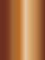 a brown and gold background with a white stripe vector