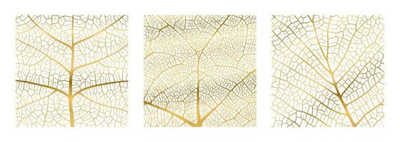 Leaf vein texture abstract background with close up plant leaf cells ornament texture pattern. vector